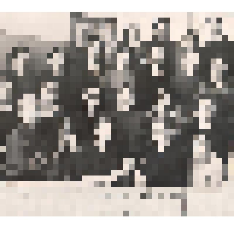 Фото "Медицинский персонал больницы"