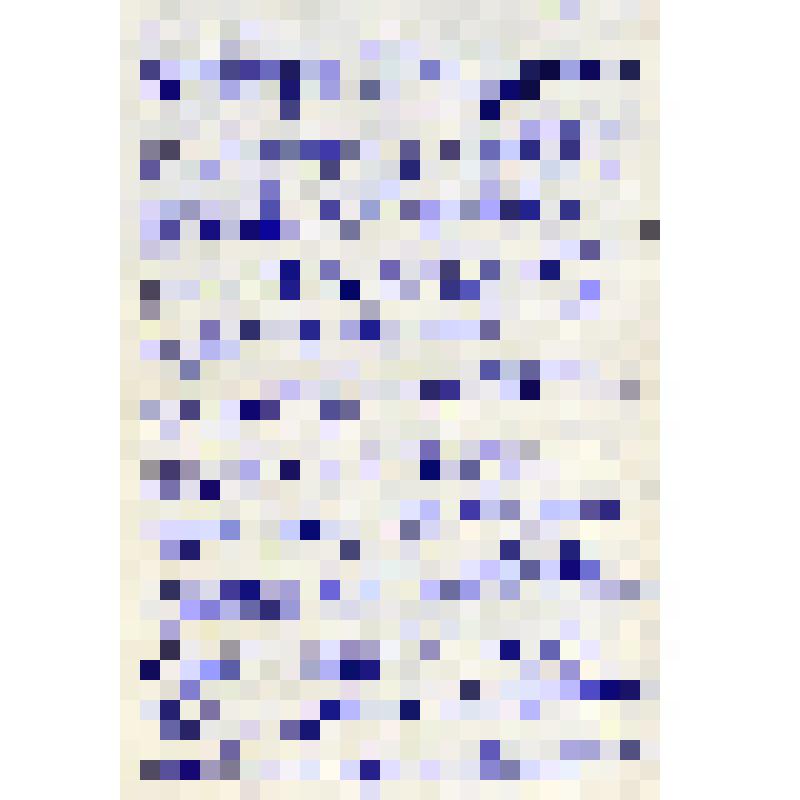 Письмо к В.В. Курдюмову