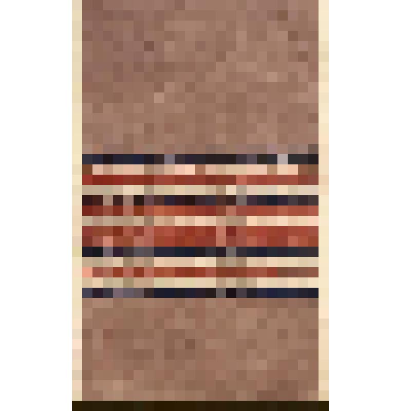 Зарисовка подола сарафана. Из альбома "Сбор материала по народным художественным промыслам в г. Вологде и Тотьме. Ткачество и набойка"