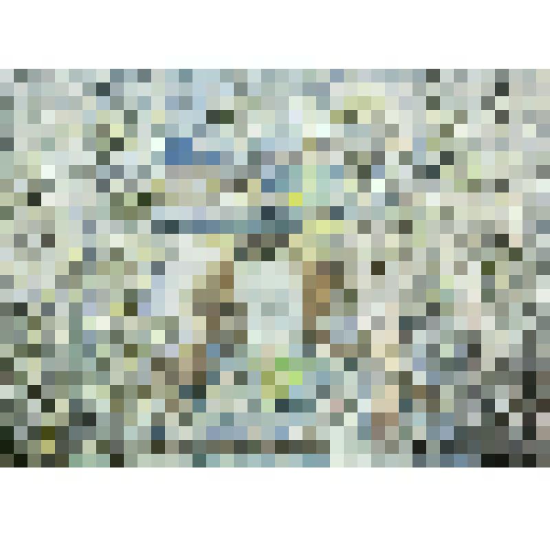 "Снегурочка"-Н.Римский-Корсаков. Сцена "Весна у водопада". Эскиз декораций