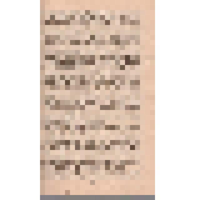 Журнал. Вопросы истории