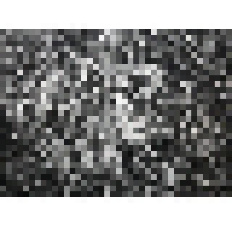 Серия «Слово о полку Игореве» лист №2 «Хоровод»