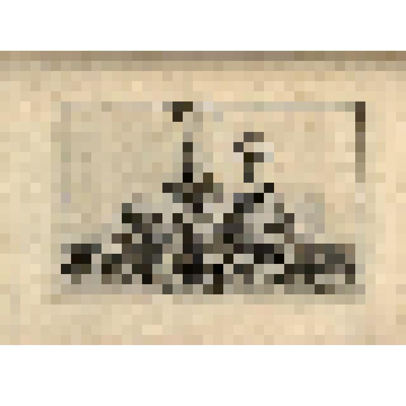 Ceres ou l'Este. (Скульптурная группа "Церера или Лето" (№ 134) - лист из альбома: «Recueil des statues, groupes, fontaines, termes, vases, et autres magnifiques ornaments du Chateau & Parc de Versailles.» T. I-IV. (Собрание фигур, групп, терм, фонтанов,