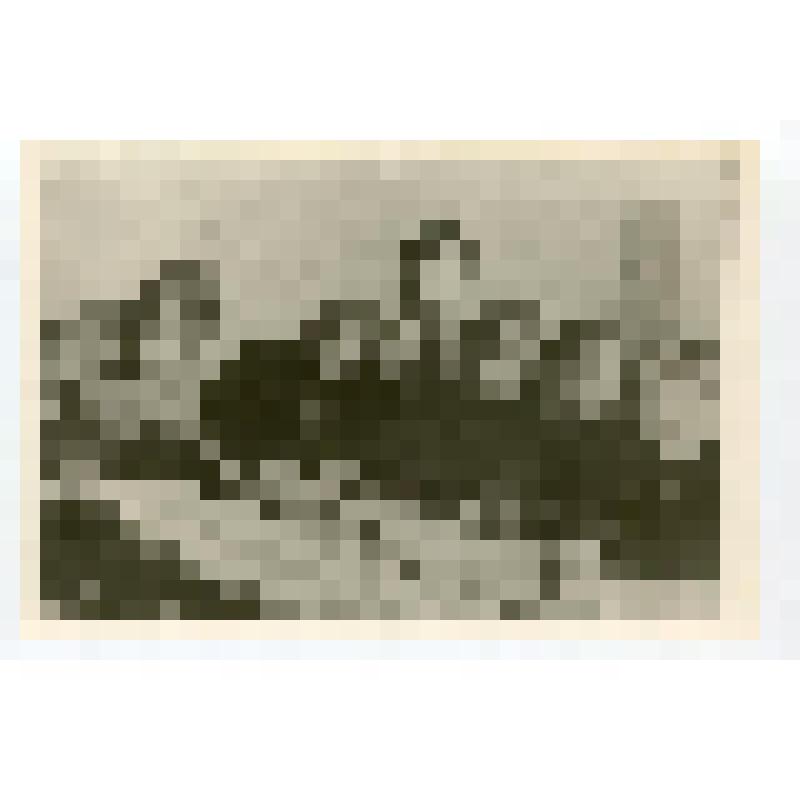 Фото групповое (копия). Члены редколлегии стенгазеты Шаховской средней школы