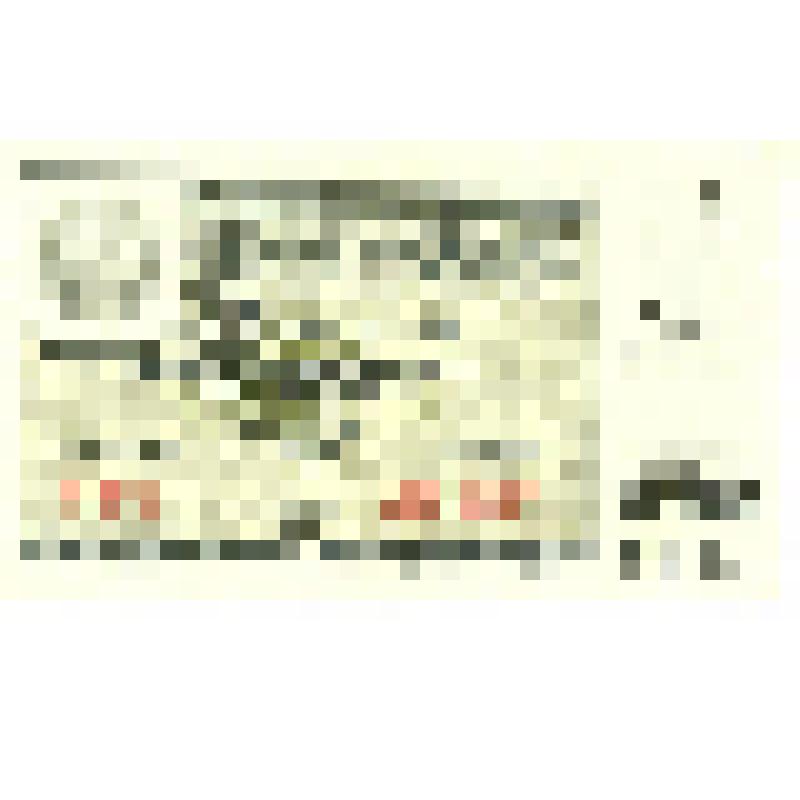 Билет лотерейный. 30 копеек. Денежно-вещевая лотерея 1968 года. Выпуск 6. СССР