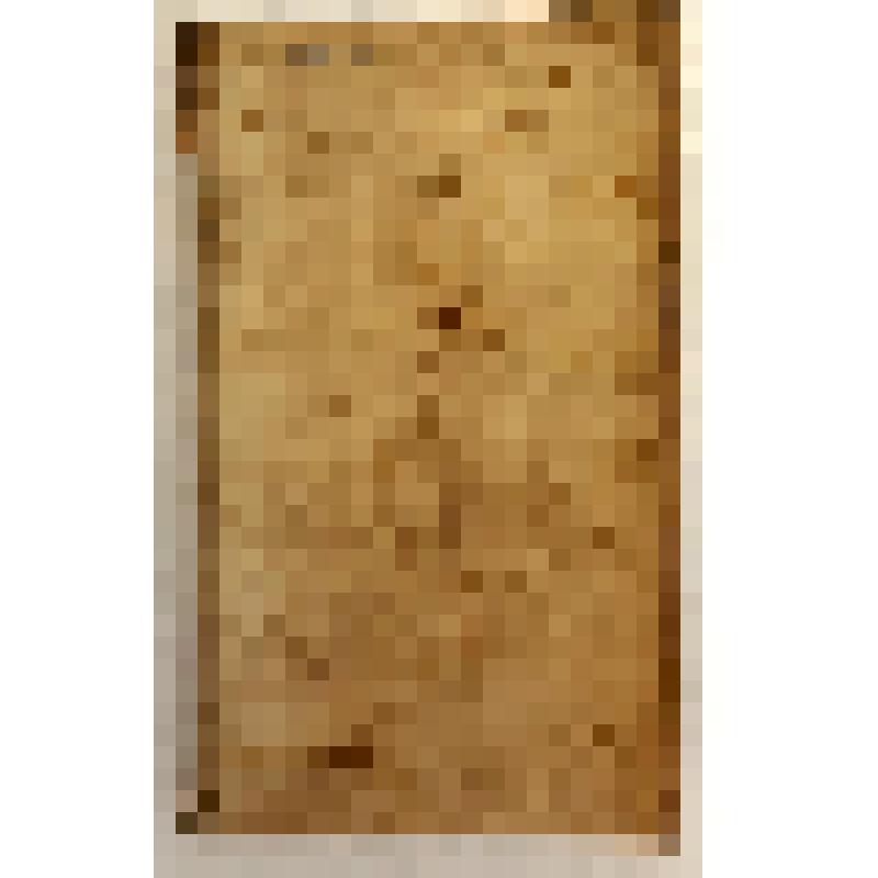 Книга на латинском языке. Guilielmi Blaev Institutio astronomica... una secundum hipothesin Ptolemaei... altera juxta mentem N. Copernici... - Amstelaedami: Apud Jiannem Blaev, 1655