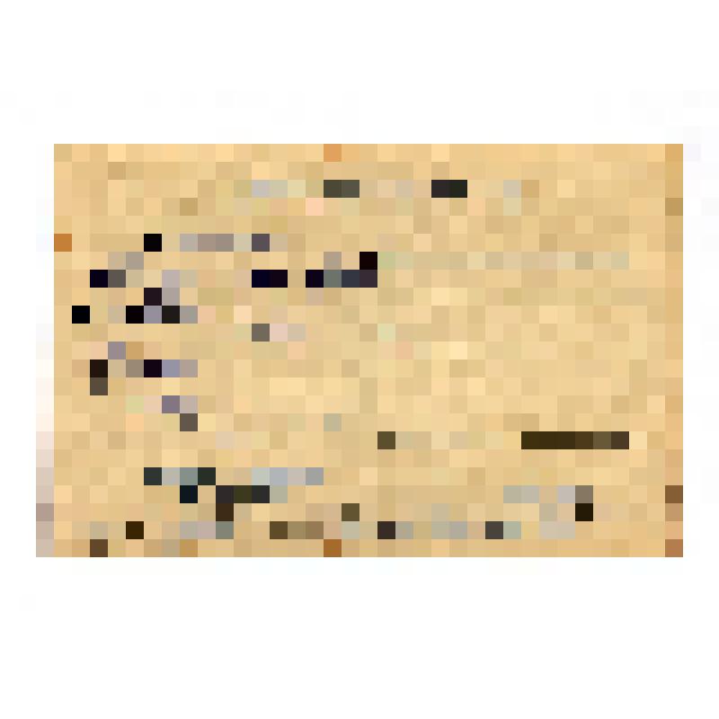 Открытка черно-белая «С Новым годом!»