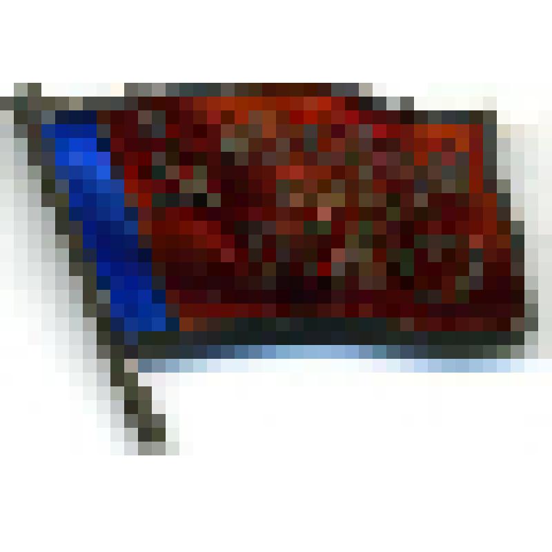 Знак Депутат Верховного Совета РСФСР". СССР