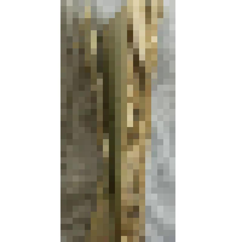 Книга. Из истории русского общества / Книгоиздательство "Русское богатство". - Второе издание. - СПб.: Тип. Н.Н. Клобукова, 1906. - 399 с