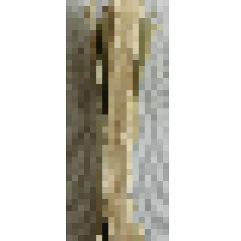 Книга. Из истории русского общества / Книгоиздательство "Русское богатство". - Второе издание. - СПб.: Тип. Н.Н. Клобукова, 1906. - 399 с