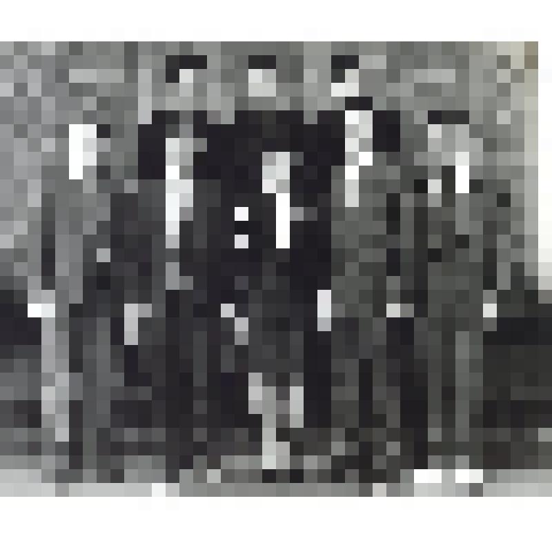 Фото ч/б "Делегаты XXI съезда ВЛКСМ от РК"