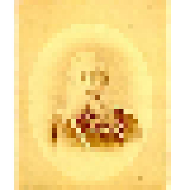 Фотография. Чапин Степан Тихонович