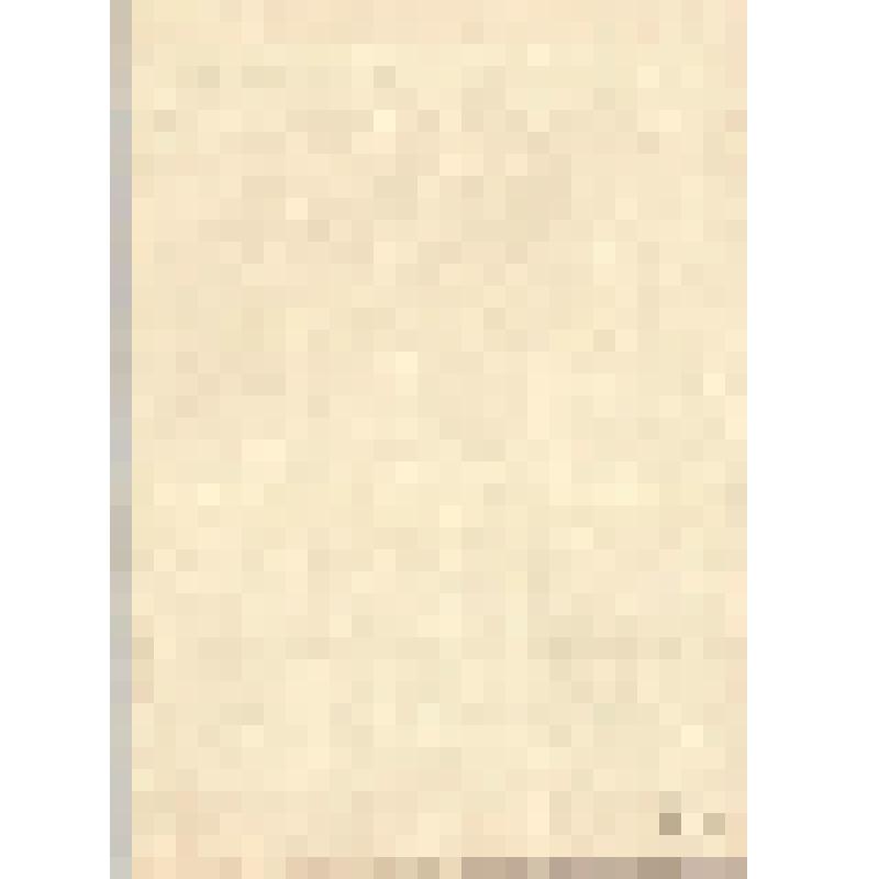 Литография. Портрет П.С. Сварога