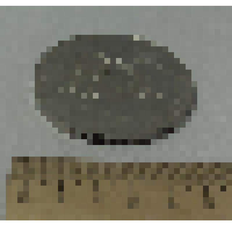 Медаль "25 лет отделу У.К.Г.Б."