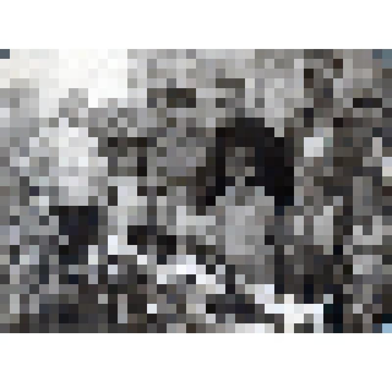 Фотография ч/б (в фотоальбоме). Похороны ребенка. 1950-1960-е гг