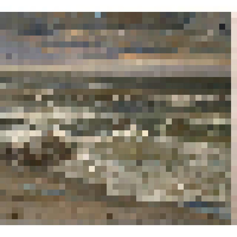 Балтика - взморье