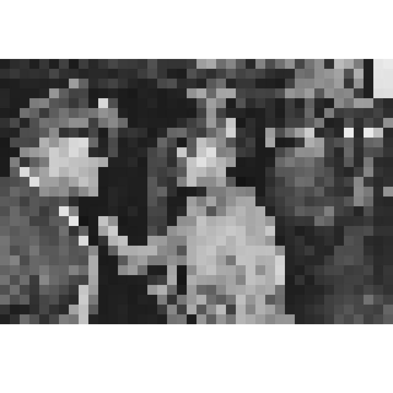 Серия: Лениниана. Фотография. Около Музея Ленина