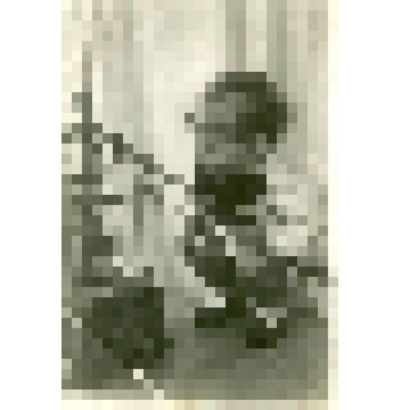 Фотооткрытка черно-белая. Малыш у клетки с птичкой