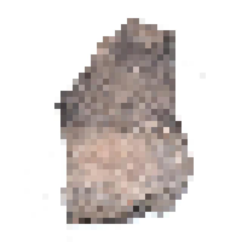 Сосуд (фрагмент)
