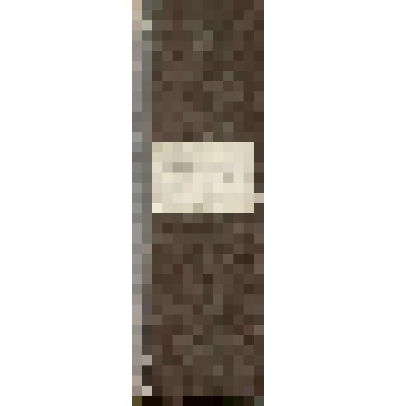 Книга квитанционная Чердынского купца Г.П.Гусева, 1884 г., октябрь