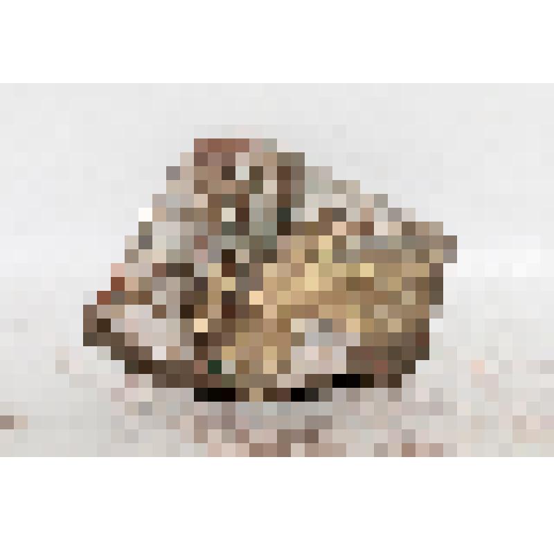 Изразец (фрагмент) рельефный полихромный "геральдический"