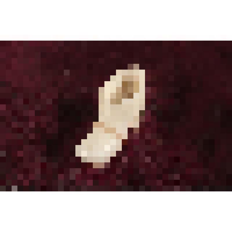 Коробка с костяными бирюльками: башмак