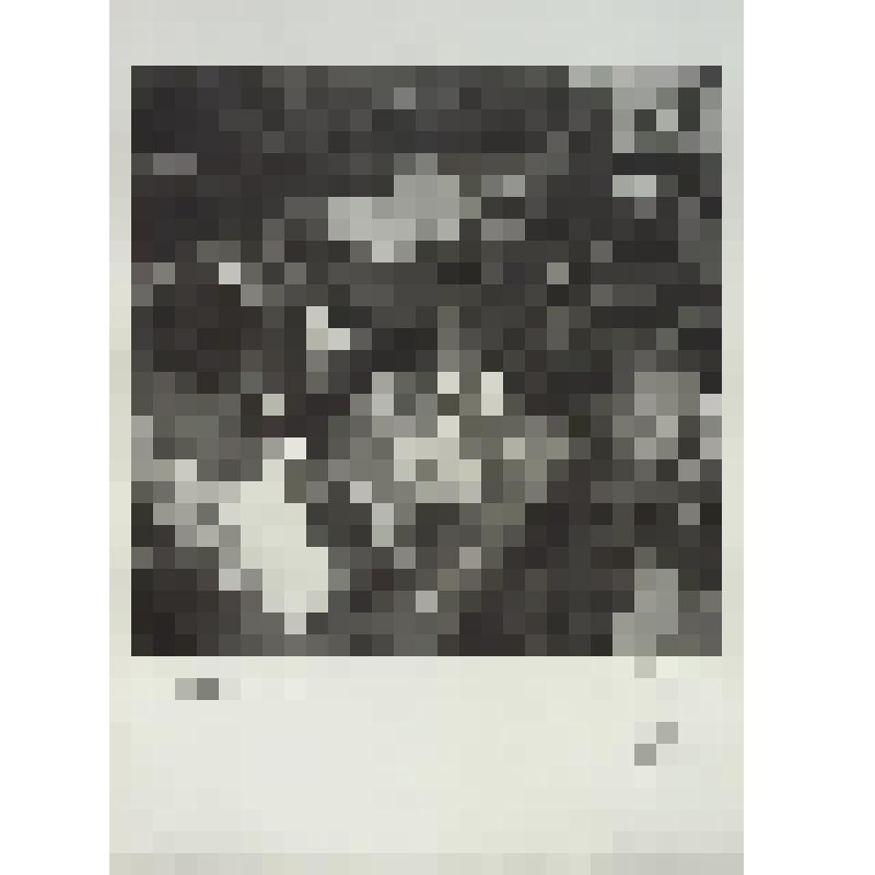 Сокольники. Фотография