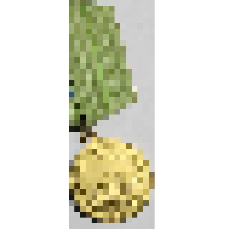 Медаль «За оборону Ленинграда».
Прикреплена на колодку