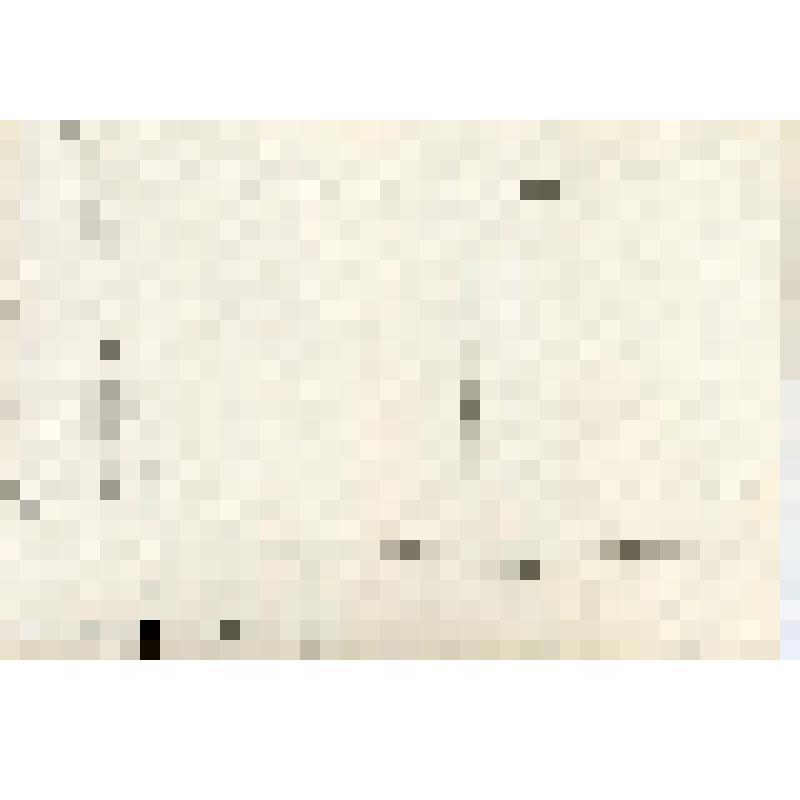 Открытка почтовая черно-белая (открытое письмо). Фотопортрет артистки кино Розы Макагоновой. З.211. Т. 50000