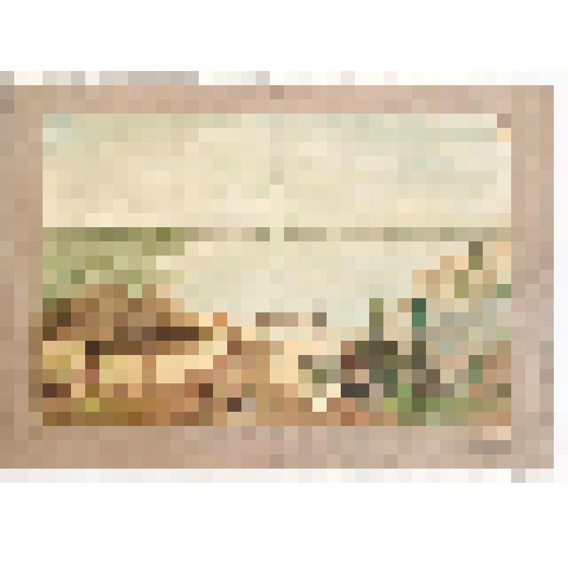 Рисунок. Стоянка каменного века