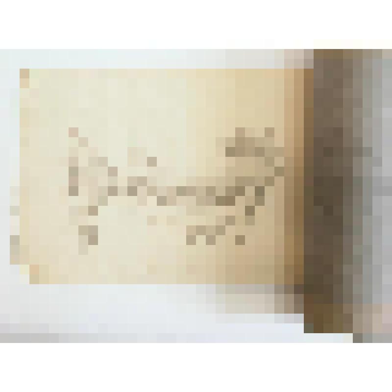 Рисунок. Стоянка каменного века