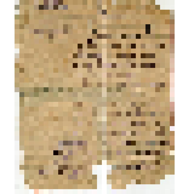 Справка N141 Дорошенко о том, что он выбыл добровольно из сельскохозяйственной коммуны "Акермен" на Мелитопольщине