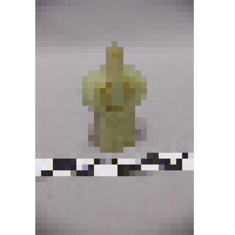 коллекция В.Ф. Лагодича. Талисман каменный стоящий, выполнен в виде головы человека. Янусовидный, с одной стороны лицо объемное с глазами из камня черного цвета, с другой плоское с бородой. Камень бледно зеленого цвета