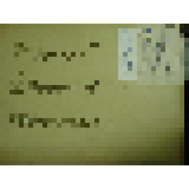 Гербарий. Мелкоцветник прямой, гербария М.И.Губельмана