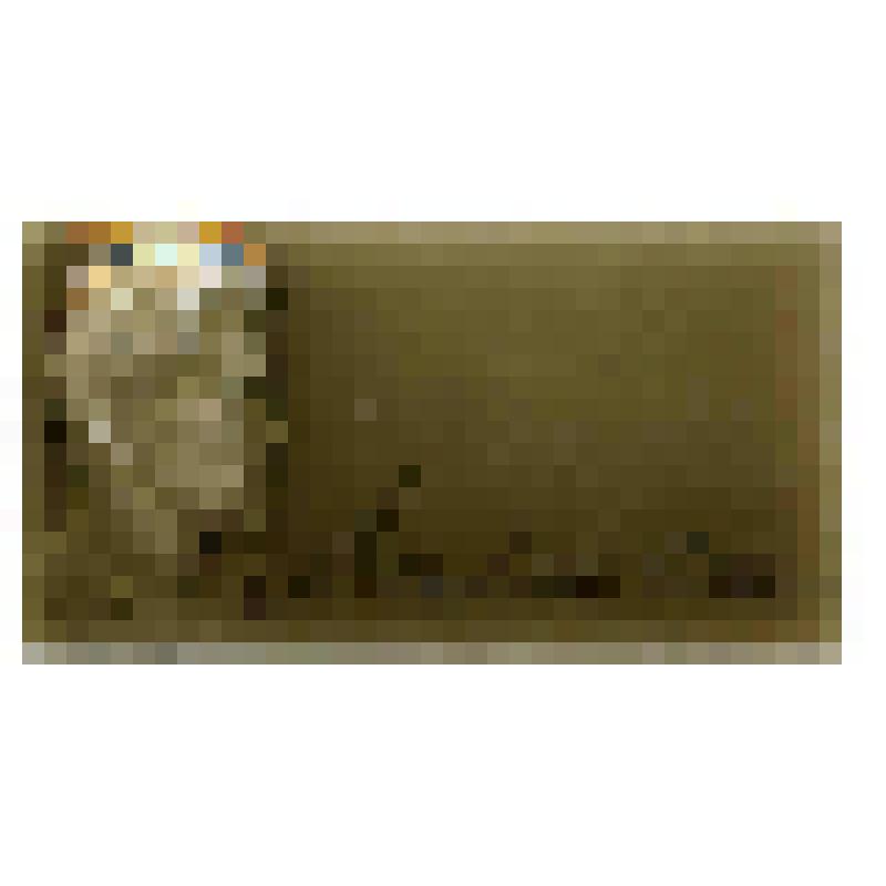 Значок. Маяковский В.В. на булавке. СССР