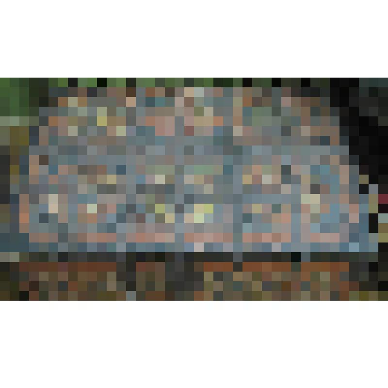 Сундук расписной, окованный железом