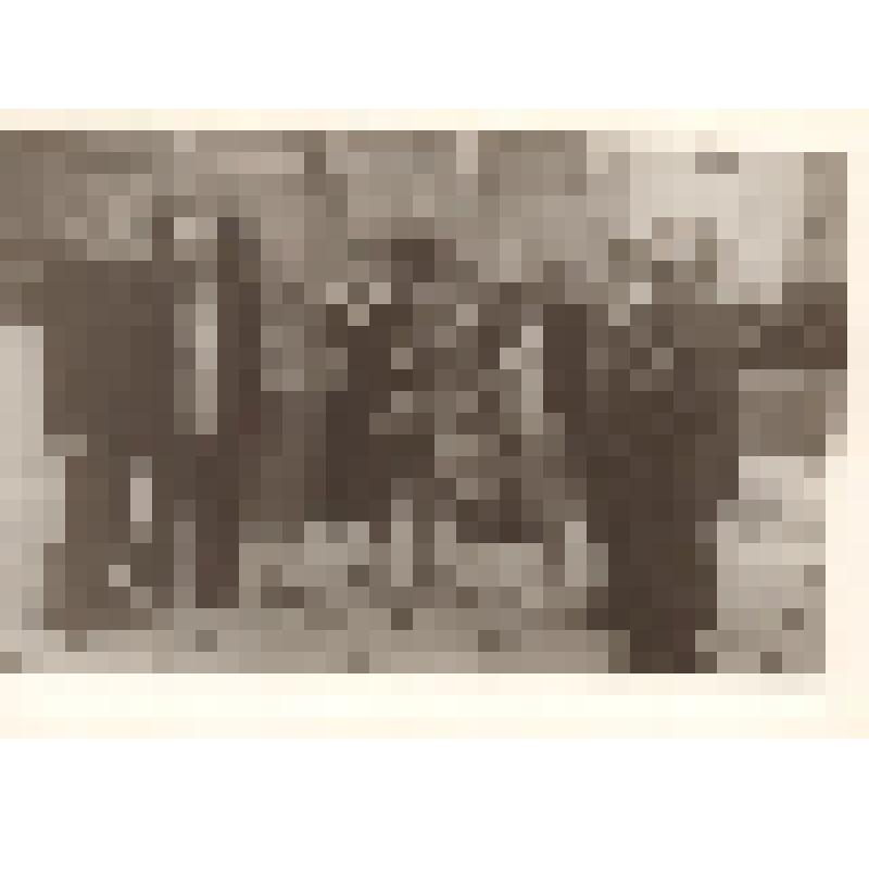 Фото групповое. К.Т. Самородов (2-й слева) с женой (4-я слева) и С.С. Ларионов (2-й справа) и его дочь Инна (3-я справа)