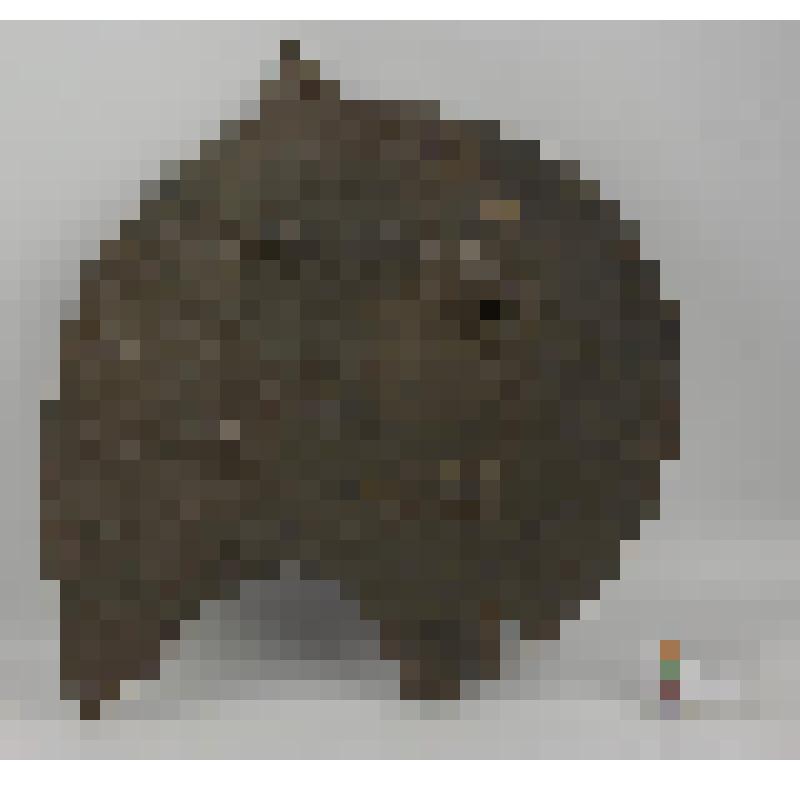 Предмет железный, неизвестного назначения (отвал плуга), в виде округлой толстой плиты с вырезом на одном конце и выступом на другом, с двумя парами массивных ушей на выгнутой поверхности