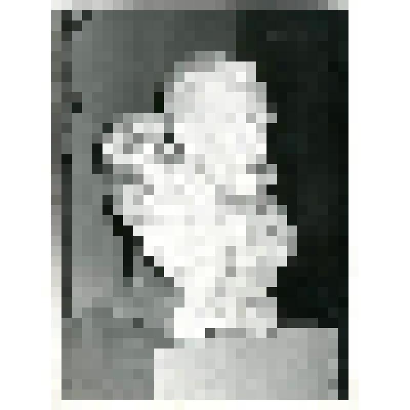 Фотография. Бюст Э. Толля в экспозиции музея