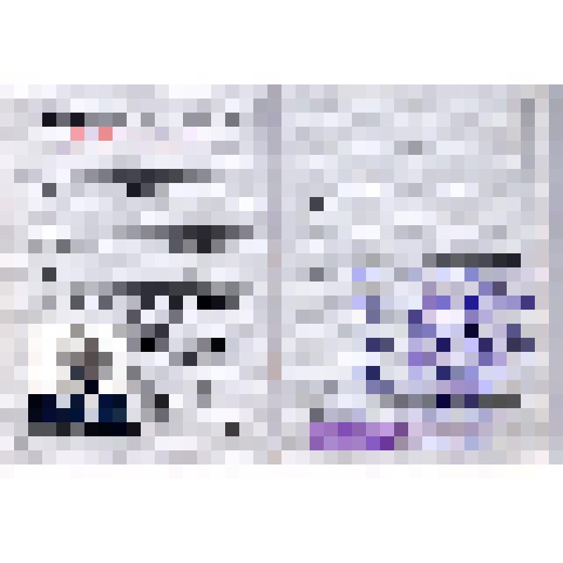 Партийный билет