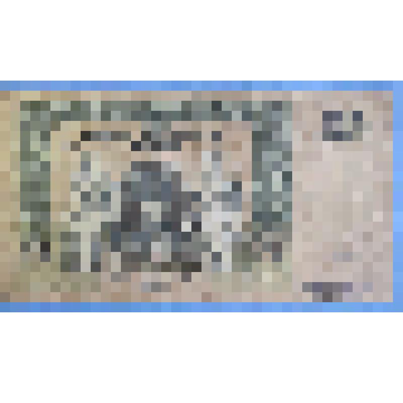 Знак денежный Россия образца 1918 года достоинством 250 рублей