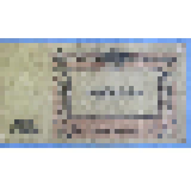 Знак денежный Россия образца 1918 года достоинством 250 рублей