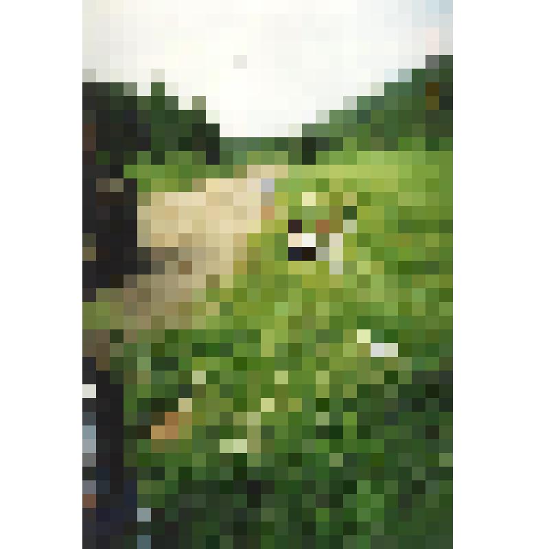 Фотография цветная. Привал на пути к п. Хорпия. Уральские горы