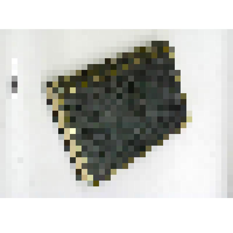 Продолжение свода законов Российской империи, изданного в 1857 году: С 1 января по 31 декабря 1868 года. Книга