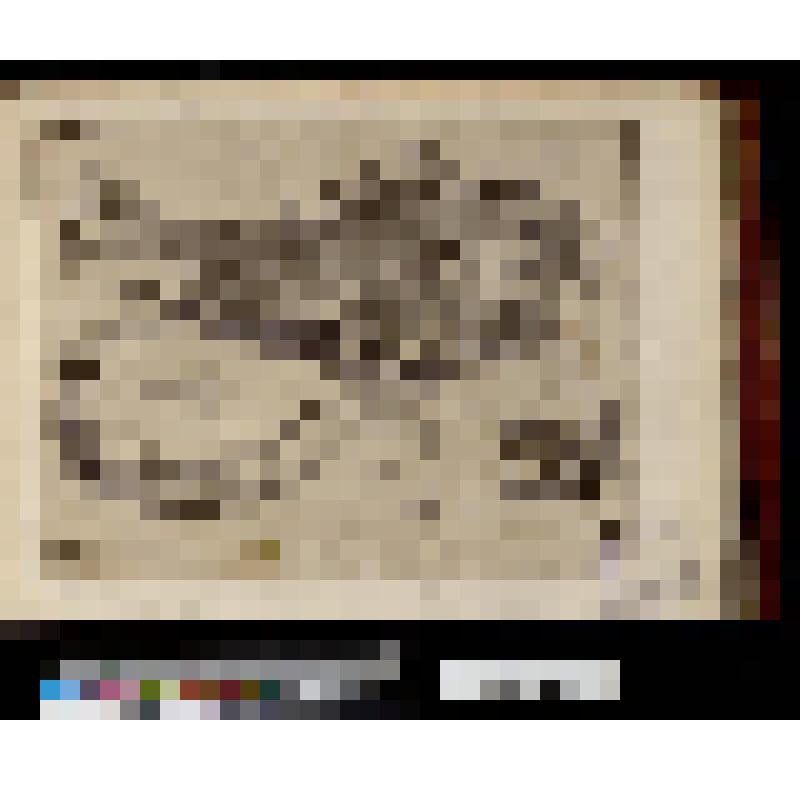 Две рыбы и раковина справа