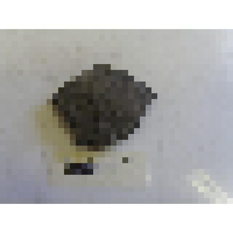 Фрагмент тулова сосуда