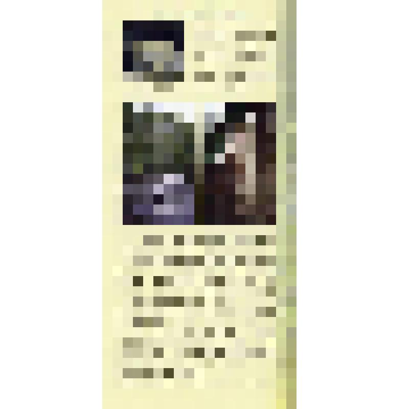 Вкладыш "Бор "Черные Пески" из буклета "От Мариинки до Волго-Балта. Природное наследие", Издательский дом "Вологжанин", 2010 г