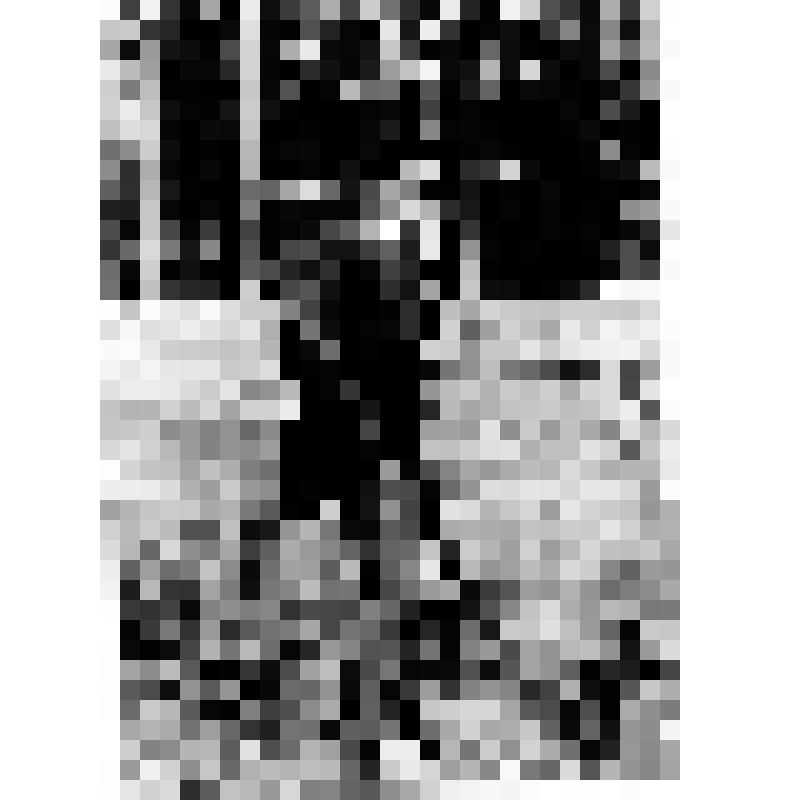 Фоторепродукция. Маяковский В.В