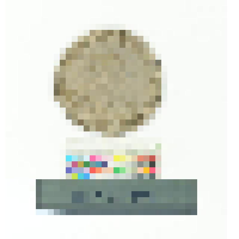 Монета. СПб. Анна Иоанновна. Полтина. 1738 г