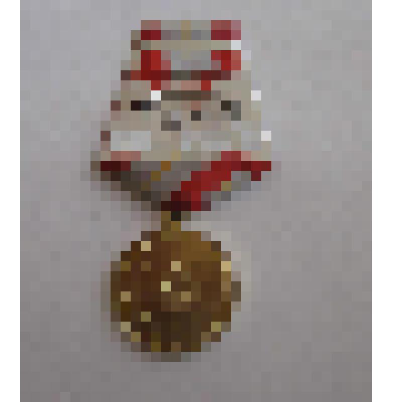 Юбилейная медаль "60 лет Вооруженных Сил СССР", из коллекции наград Бушковской (Голубцовой) Марии Ивановны